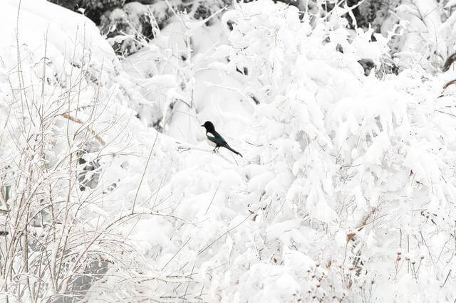 覆冰在線(xiàn)監(jiān)測(cè) 覆冰在線(xiàn)監(jiān)測(cè)