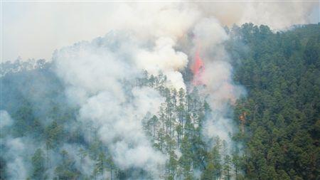 u=991413212,1843589310&fm=27&gp=0.jpg u=991413212,1843589310&fm=27&gp=0.jpg