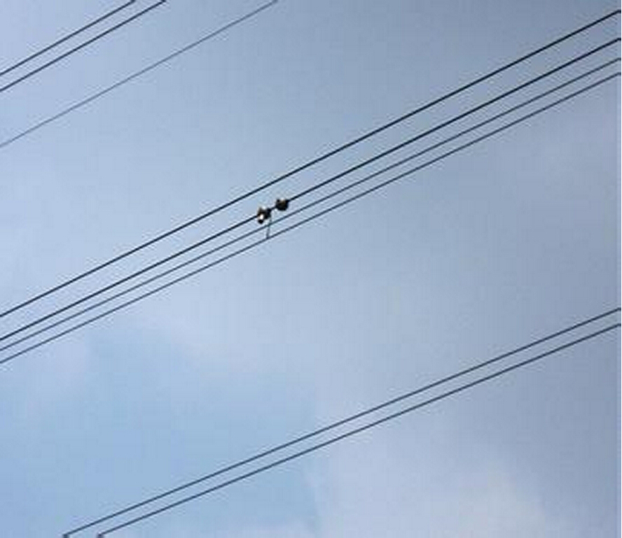 架空線路弧垂實(shí)時(shí)監(jiān)測系統(tǒng) 架空線路弧垂實(shí)時(shí)監(jiān)測系統(tǒng)